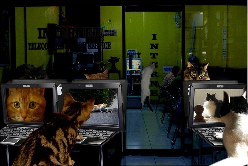 ComebackNet, Warnet Game Center yang Ramai di Tangerang